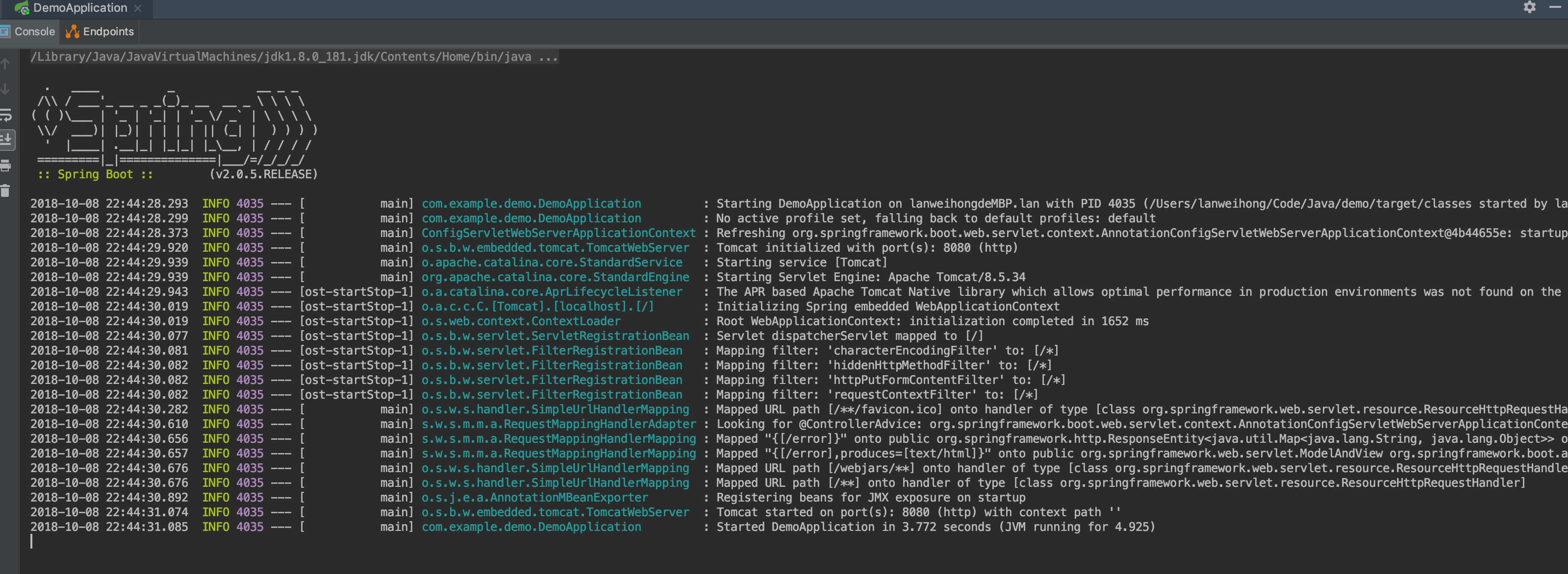 启动项目后控制台输出信息